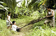 A boy sits on a large leaf that is pulled by an older boy.  Another boy looks at them.
