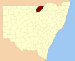Finch NSW.PNG