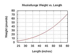 Muskellunge weight length graph.jpg