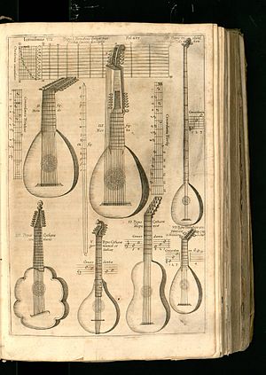 Plucked instruments from Athanasius Kircher's Musurgia universalis