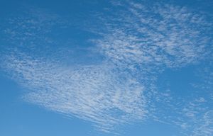 Cirrocumulus clouds on a summer afternoon