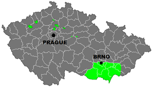 Wine region of Moravia