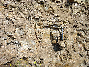 A pick axe sitting on a wider, protruding rock. Various sized rock prudences are in the photo; most are a little wider than the pick handle.
