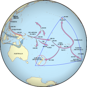 One set of arrows point from Taiwan to Melanesia to Fiji/Samoa and then to the Marquesas Islands. The arrows then spread, some going south to New Zealand and one going north to Hawai'i. A second set start in southern Asia and end in Melanesia.
