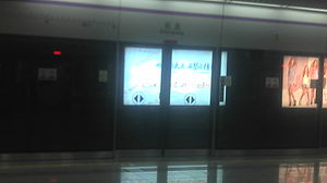 Shenzhen Metro Changlong Station.jpg