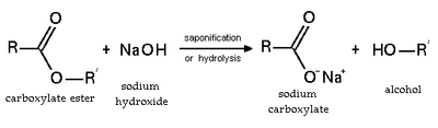 Ester saponification (basic hydrolysis)