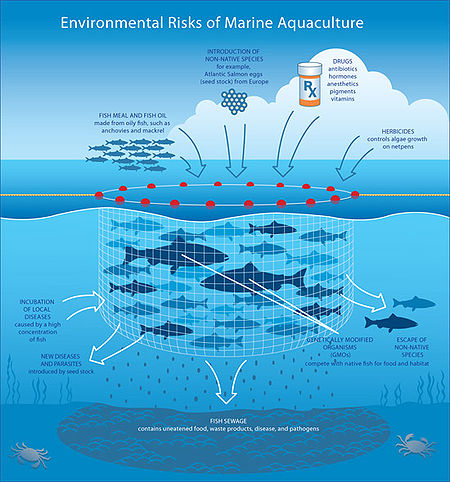 Risks aquaculture 550.jpg
