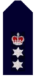 Nsw-police-force-chief-superintendent.png