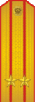 RFGF - Lieutenant-colonel - Parade.png