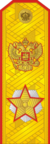 RFGF - Marshal of the Russian Federation - Parade.png